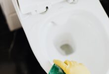How Often Should You Clean Your Toilet?