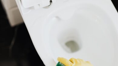 How Often Should You Clean Your Toilet?