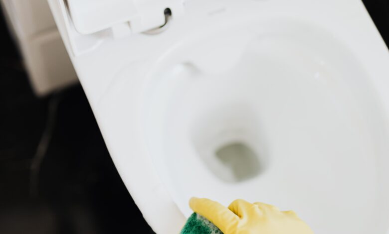 How Often Should You Clean Your Toilet?